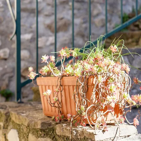 In With Private Courtyard * Minerve